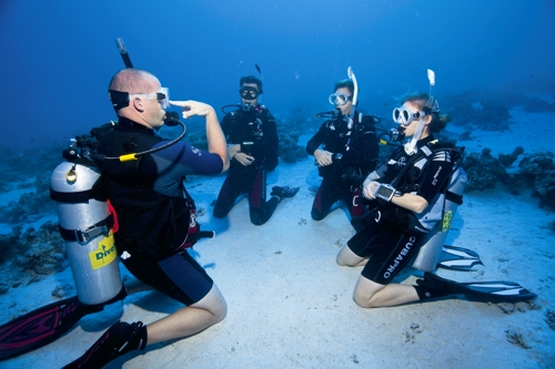 Diver Leader