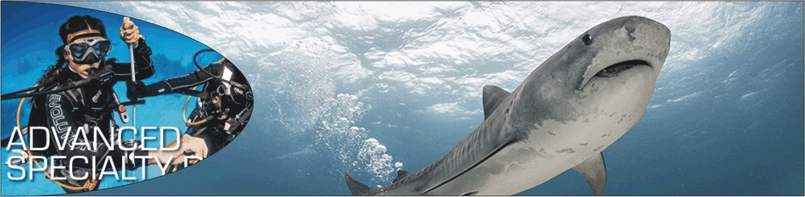 Advanced Specialty Diver