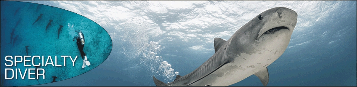 Specialty Diver