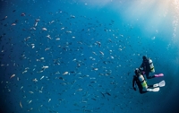 Tieftauchen - Deep Diving